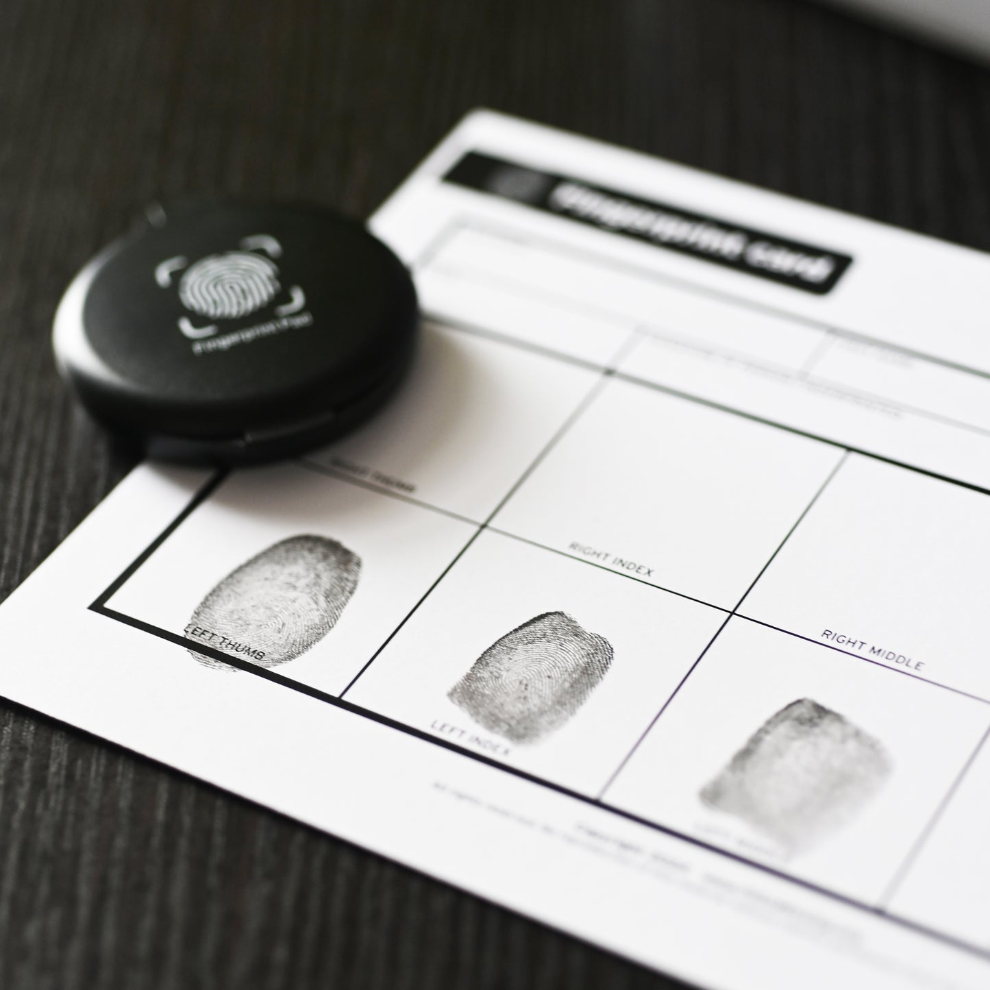 If I Go Missing Ultimate Bundle