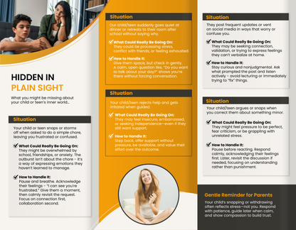 Illuminating Their World